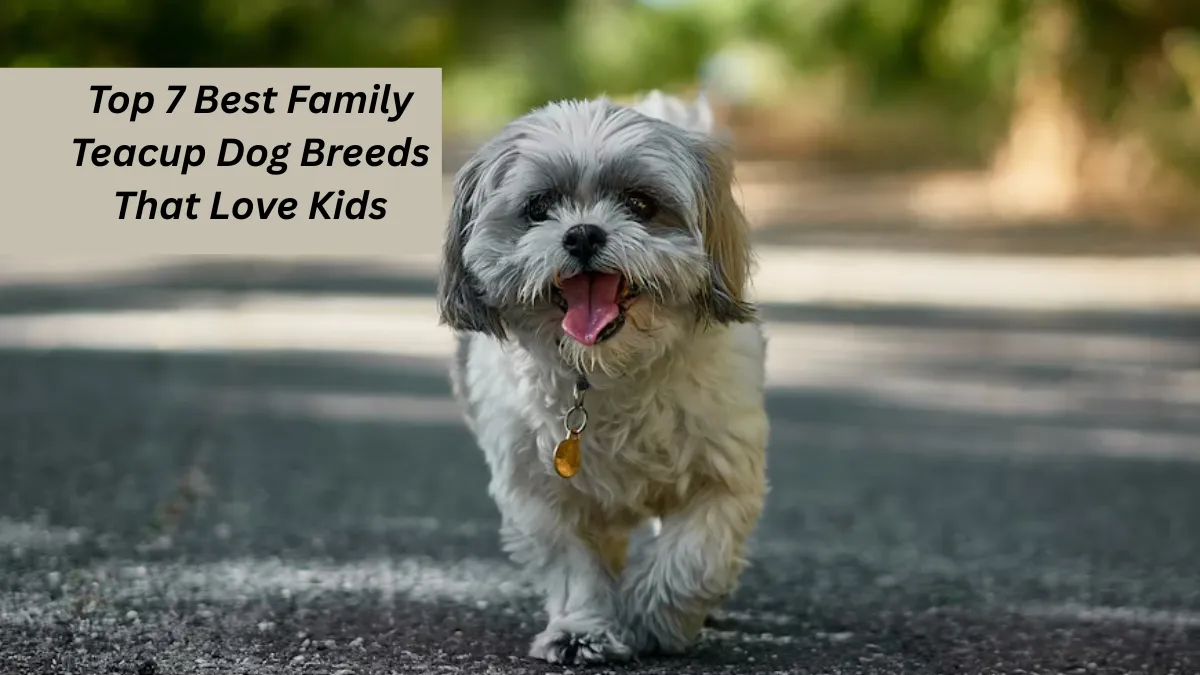 Top 7 Best Family Teacup Dog Breeds That Love Kids