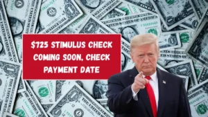 $725 Stimulus Check Coming Soon, Check Payment Date, How To Apply?